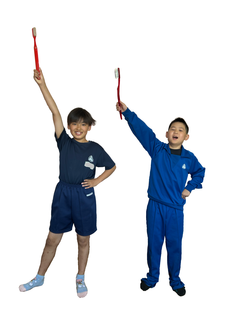 歯ブラシナイト