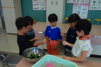 １２年きゅうり12