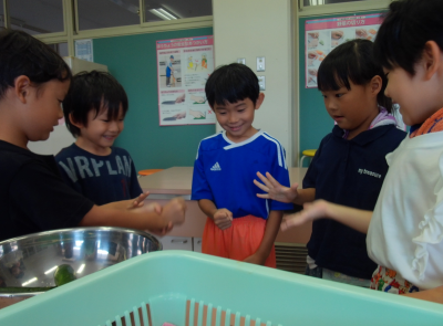 １２年きゅうり13