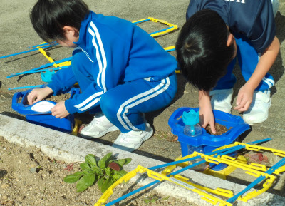 あさがお１２年