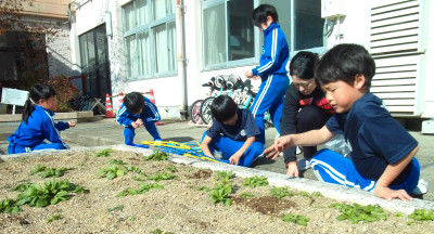 あさがお１２年」６