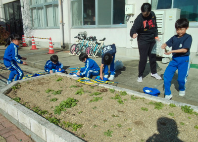 あさがお１２年１