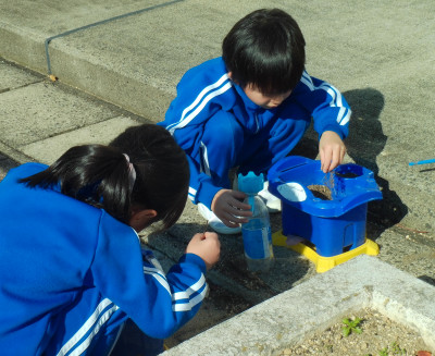 あさがお１２年３
