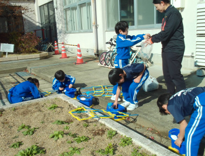 あさがお１２年４