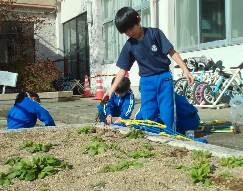あさがお１２年７