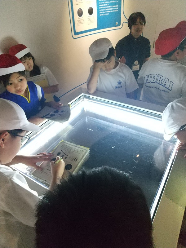 7D374242D4AFC70B690CB23D1AFF7B18D039BDB7