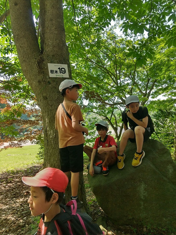 BE32437E5ECA3EF8D541FC411B7E6C587251BFAC