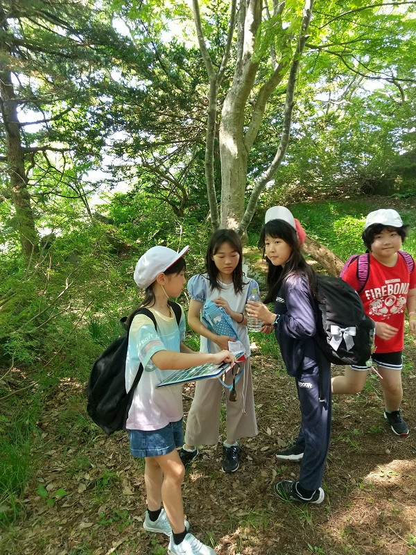 D276A2B16C7469F8351FD9C4D58E789965D015A4