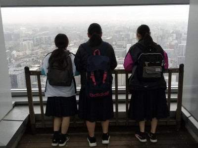 1745397488876DSC_0013