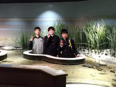 1745399384592DSC_0028 (1)