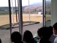 桜吹雪の真っ白なカーテンが校庭を白く染めました。