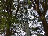 技能主査さんの地道な作業です。