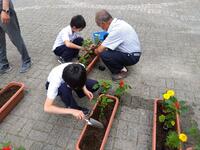 人権擁護委員の方に教えていただきながら苗を植えました。