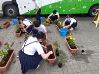 人権の花をたくさん咲かせよう。