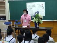 あじさいの花の色は土の性質で変わるのですね。