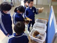 放送直後からさっそく子どもたちが手に取っています。