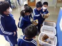 女の子も「野球やろうかな」。