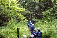 山道を頑張って登ります