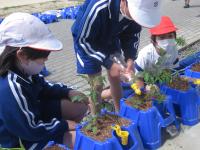 大きく育て野菜たち！