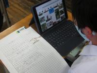 春の鳥をインターネットで調べています