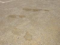 歩くとなかるむ校庭