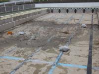 ビフォー・プールの底は泥がたまっています