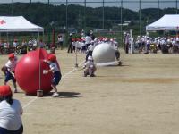 ２年生は「大玉ごろんごろん」