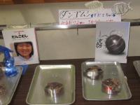 2-1前の「ダンゴムシコーナー」 2-1前の「ダンゴムシコーナー」