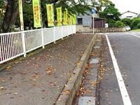 落ち葉が歩道を埋め尽くす校門周辺