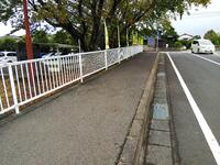 落ち葉は跡形もなくきれいになりました。