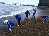 波を警戒しながら貝拾いです。