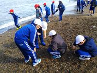 シーグラスを拾ったよ。見せ合う子どもたちです。