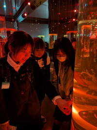 PXL_20251023_080446165.MP