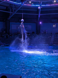 PXL_20251023_083447970