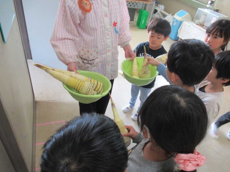 IMG皮むいたあと