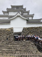 D99662D9-A912-45D1-9231-6D0CED71F3F6