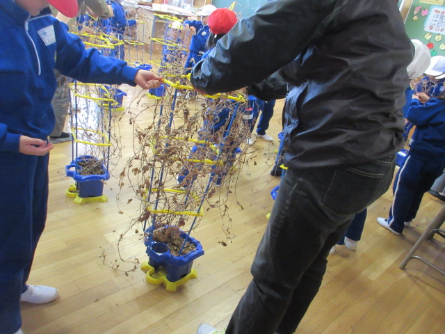 リース作り(１年生)