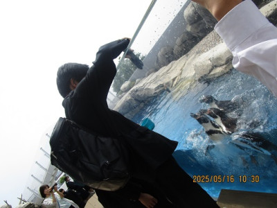 校外学習2年水族館