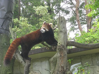 校外学習2年動物