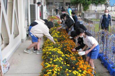 校舎南の花壇で活動中