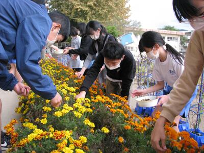 「種がたくさんあるね」