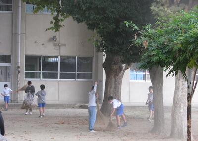 乾いた校庭、一掃きごとに砂ぼこりが。