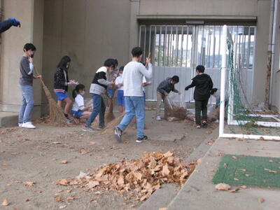 落ち葉がたくさん集まってるねー。