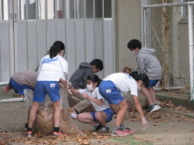 袋もたちまちいっぱいです。