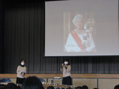 バッキンガム宮殿の衛兵が描き出されています。