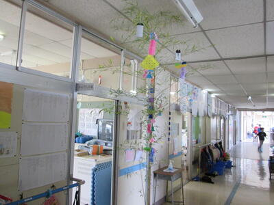 笹に短冊が飾られました。