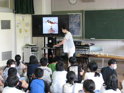 曲名「千鳥」はこの鳥です。