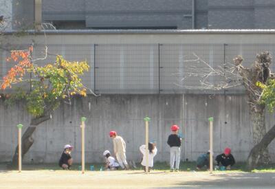 「どれが僕の光かな。」