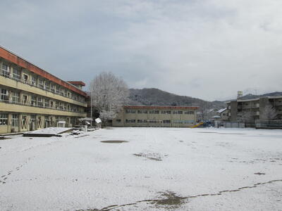 朝、校庭も雪でおおわれていました。