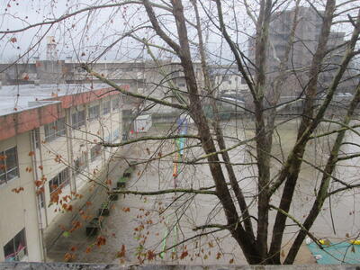 雨の朝，東校舎もプラタナスも雨に濡れています。